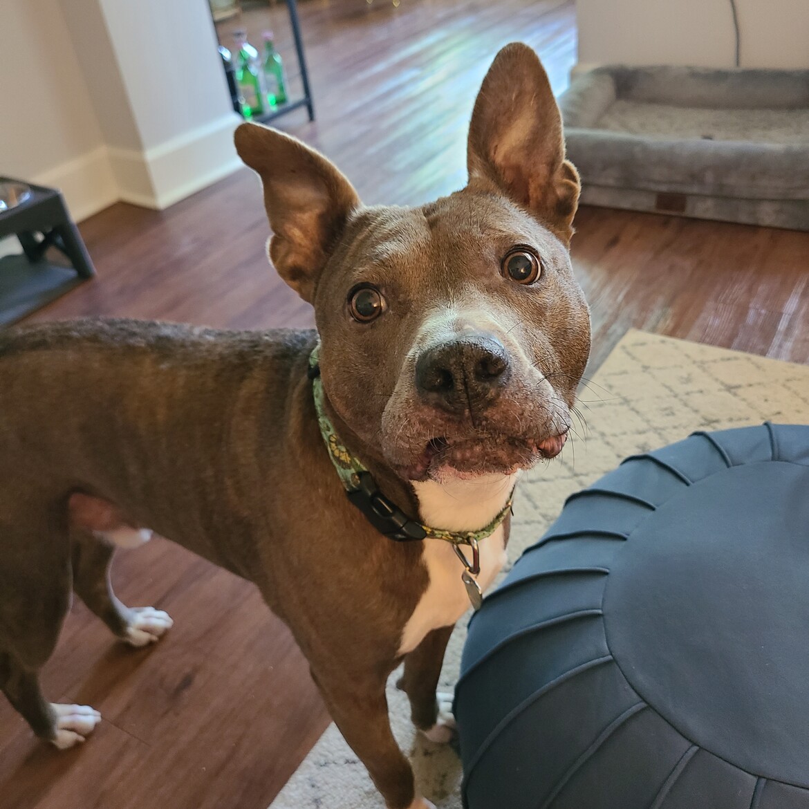 Handsome Man Kodak Handsome Man Kodak