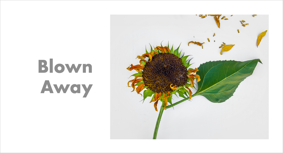 Blown Away Blown Away