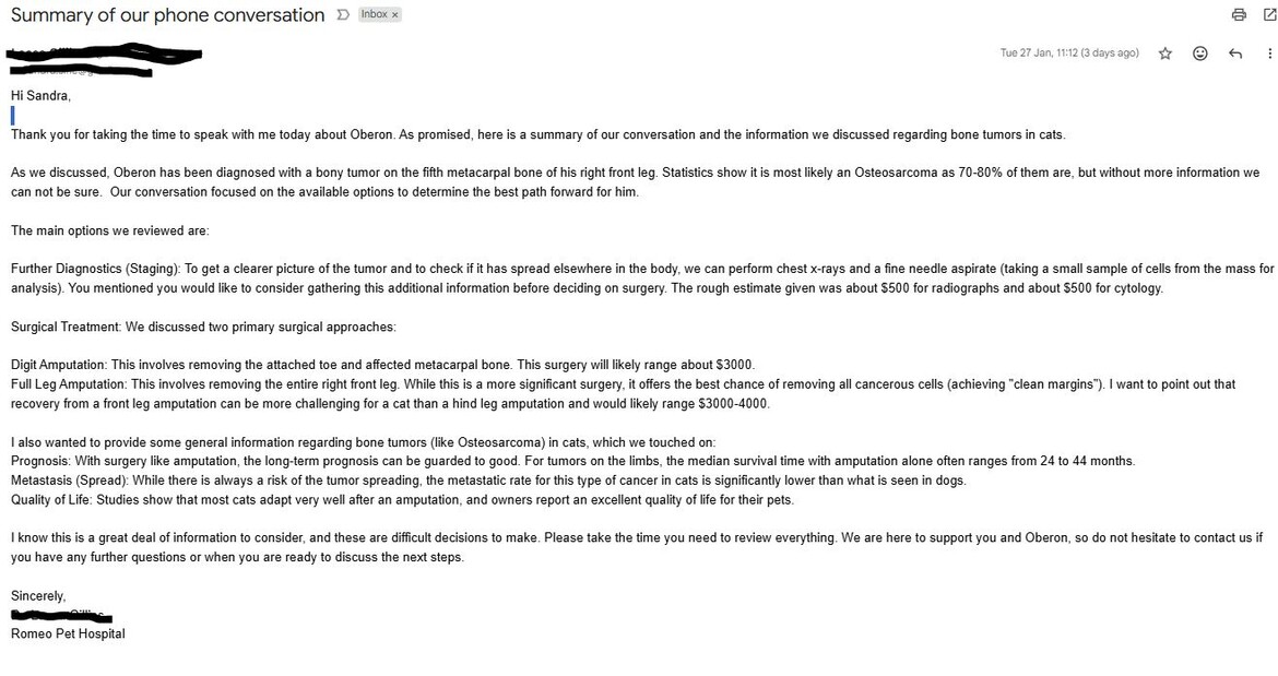 Email from the Vet about Diagnosing & Options Email from the Vet about Diagnosing & Options