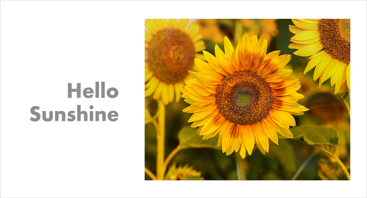 Hello Sunshine Hello Sunshine