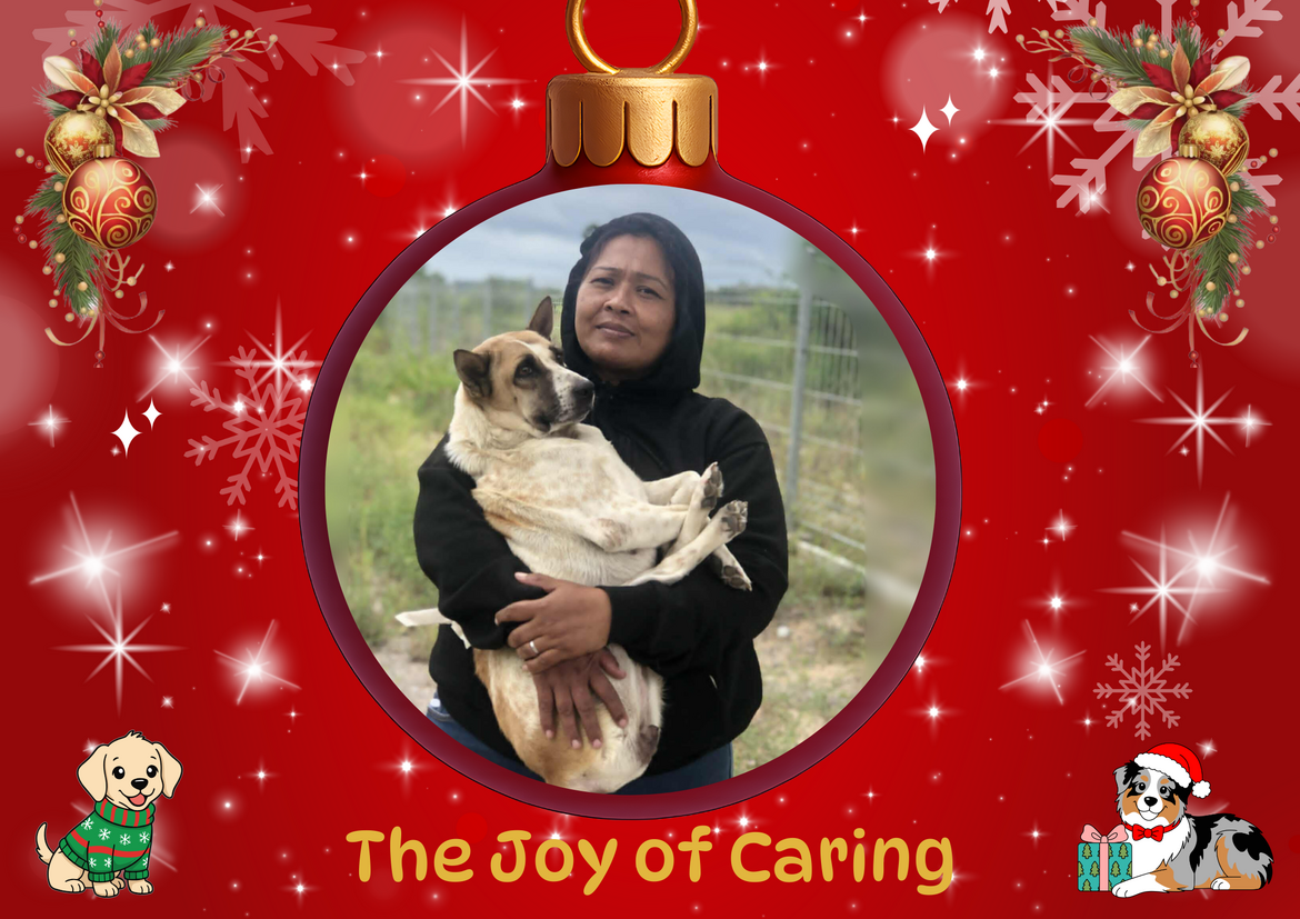 The Joy of Caring The Joy of Caring