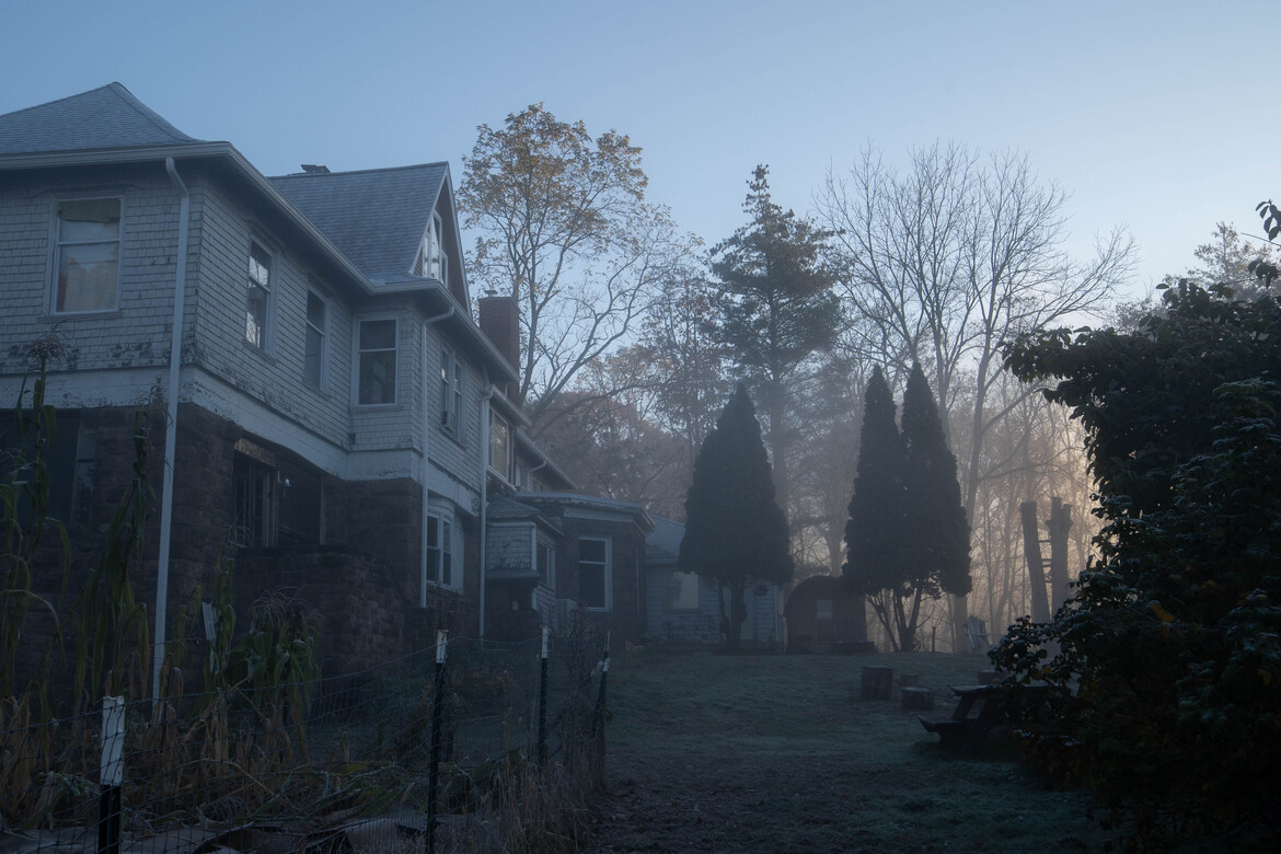 Lupinewood in the morning Lupinewood in the morning