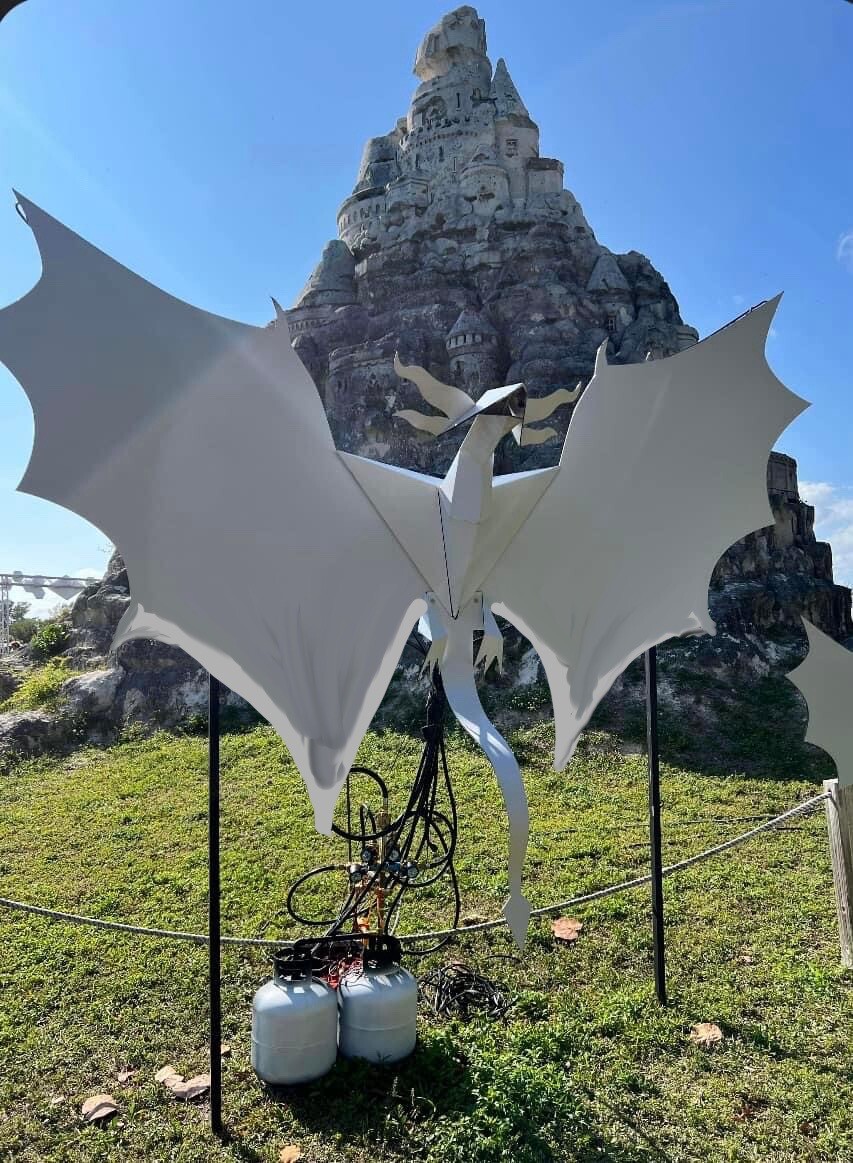 dragon dragon