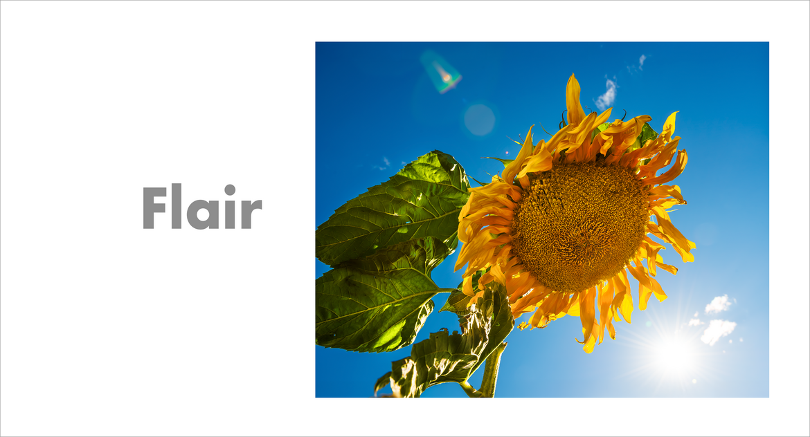 Flair Flair