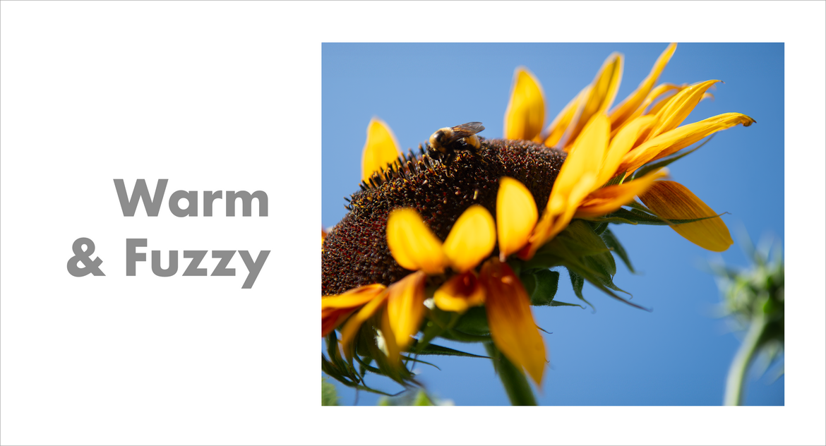 Warm & Fuzzy Warm & Fuzzy