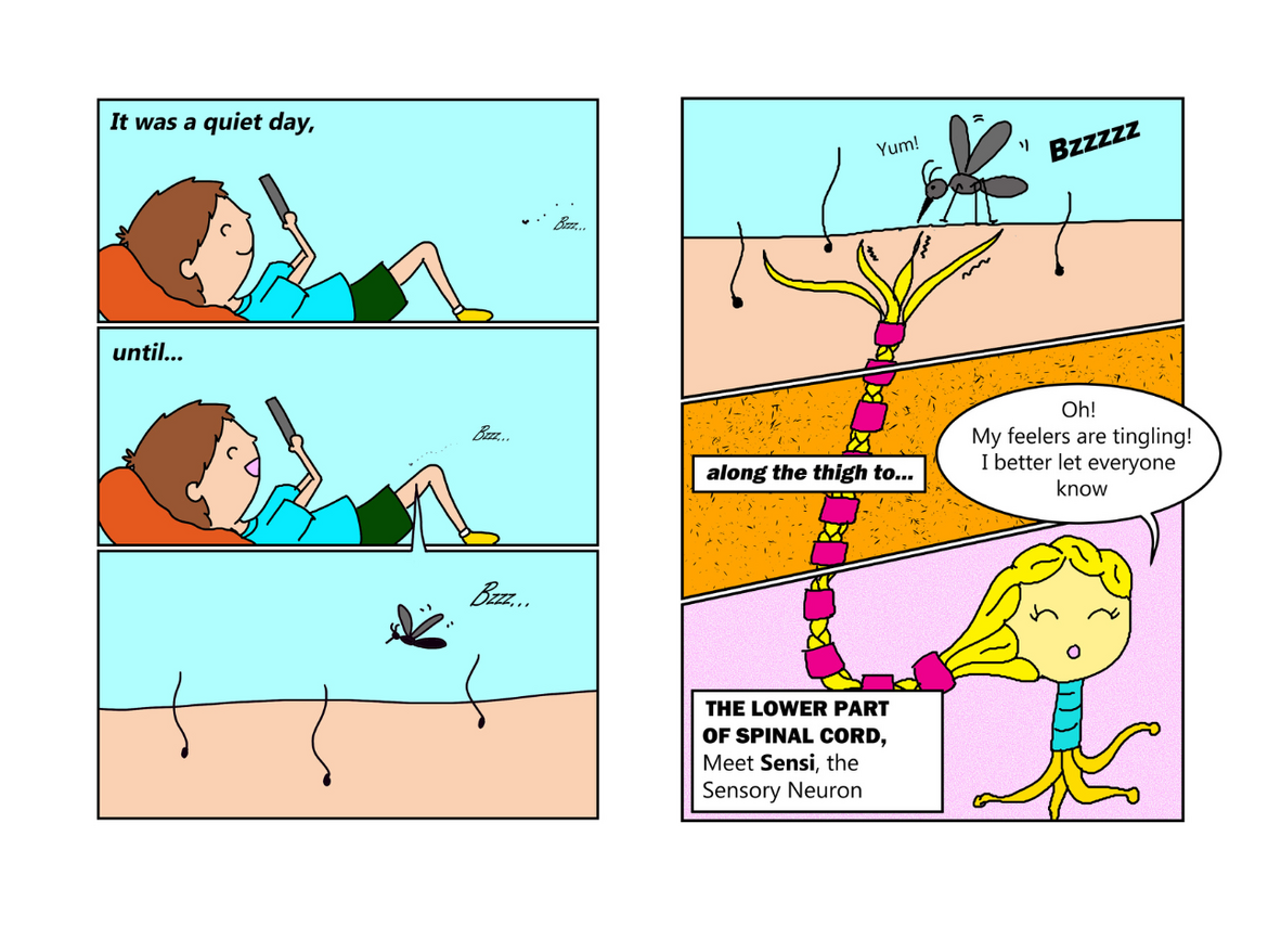 Spine Story page Spine Story page