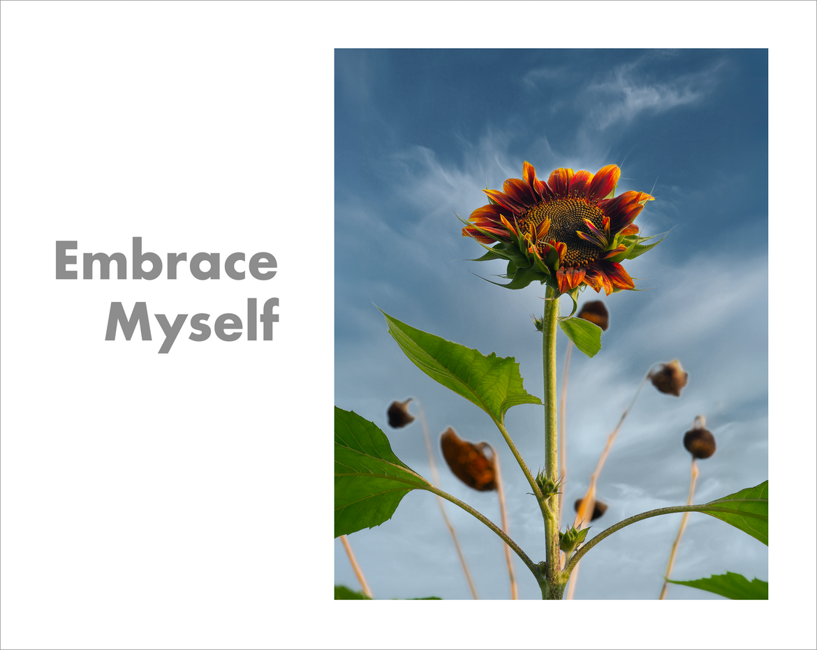 Embrace Myself Embrace Myself