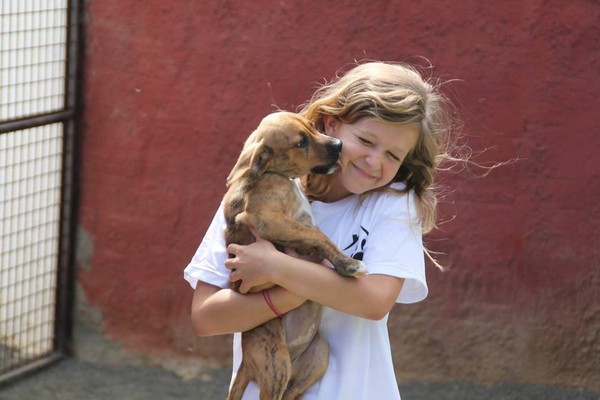 Arabella with one of the puppies looking for a new home Arabella with one of the puppies looking for a new home