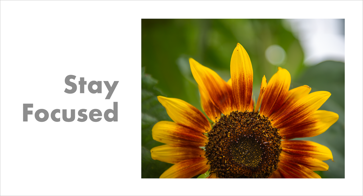 Stay Focused Stay Focused