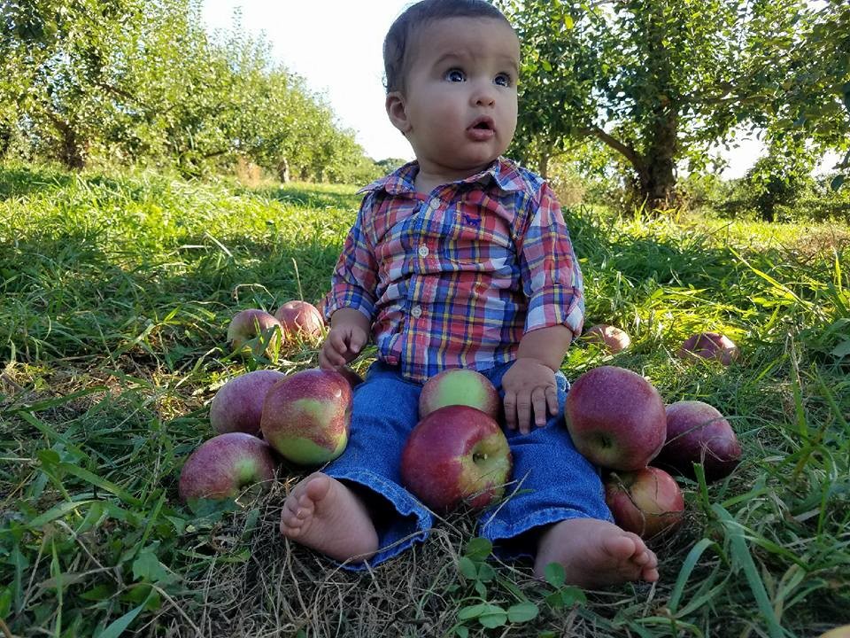 Happy Autumn! Happy Autumn!