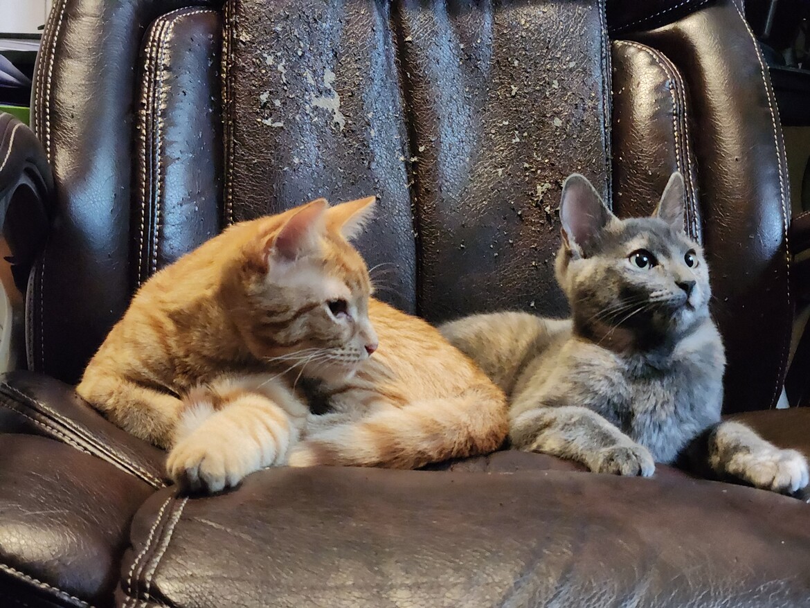 Queso and Diana Queso and Diana