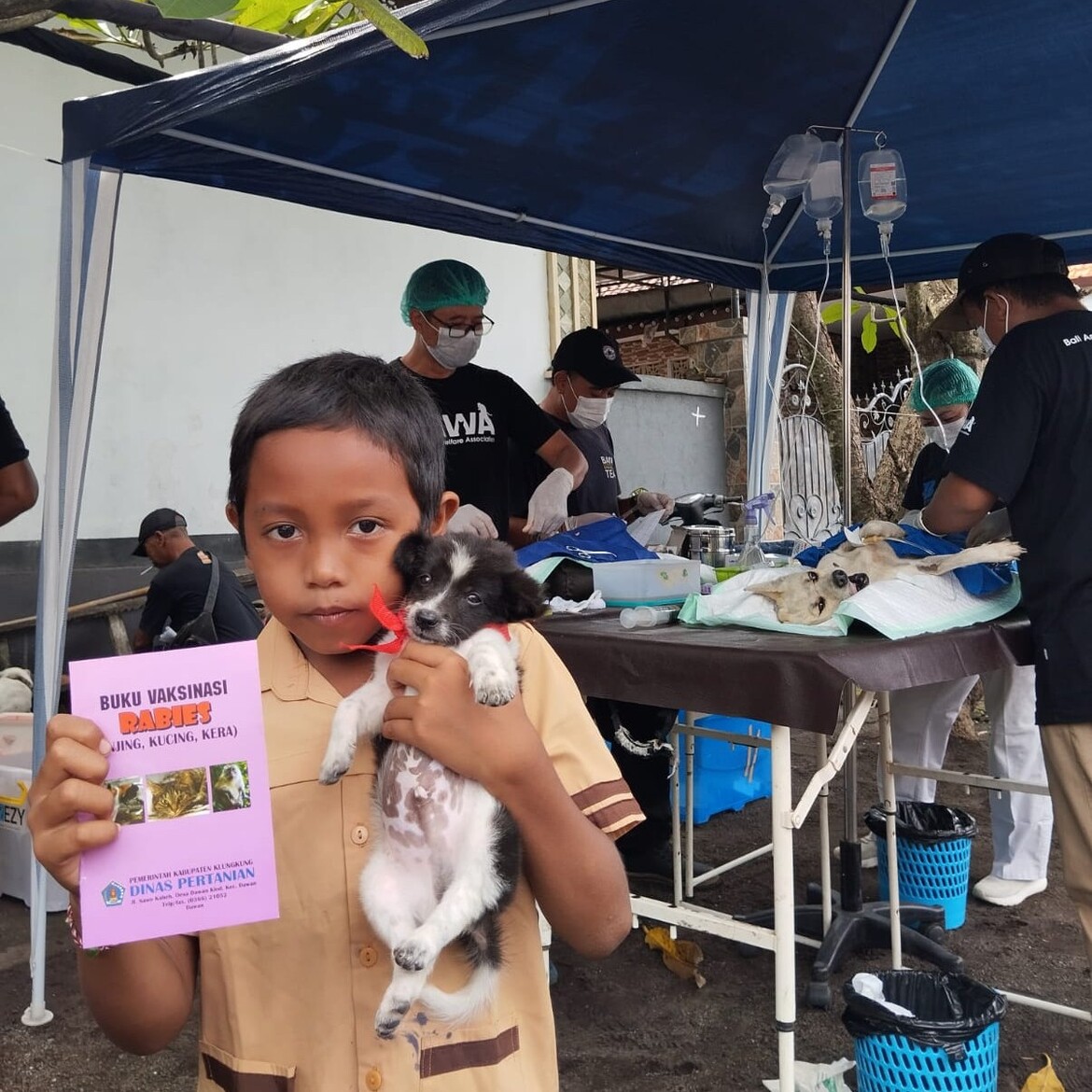 Ein Kind das bei einer Kastrationsaktion aufgeklärt wurde, über den Umgang mit Hunden. Ein Kind das bei einer Kastrationsaktion aufgeklärt wurde, über den Umgang mit Hunden.