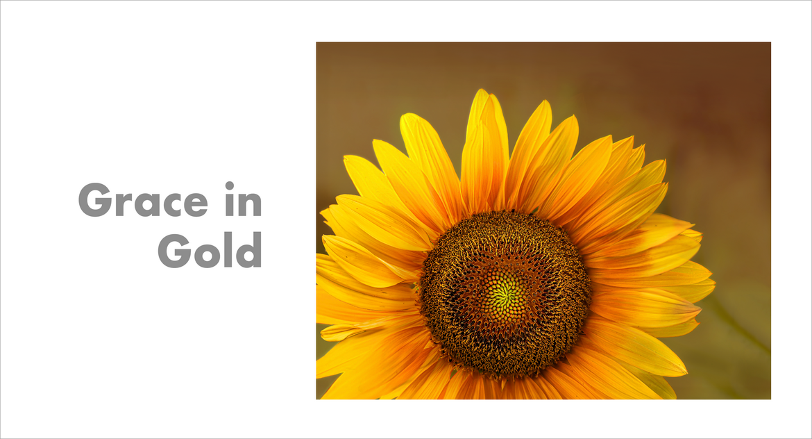 Grace in Gold Grace in Gold