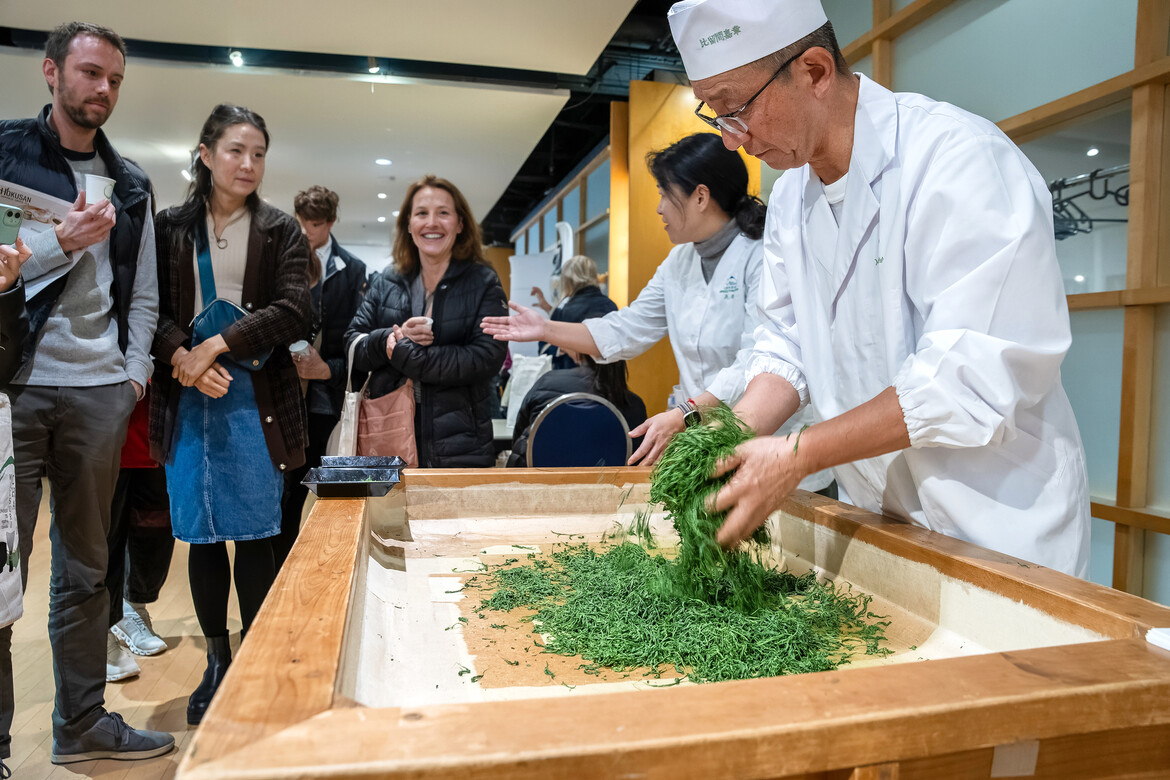 Temomi demo 2024 Temomi demo 2024