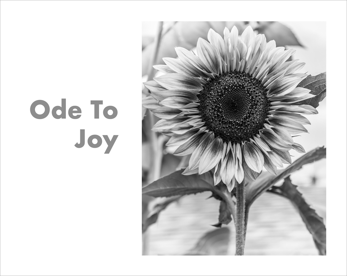 Ode To Joy Ode To Joy