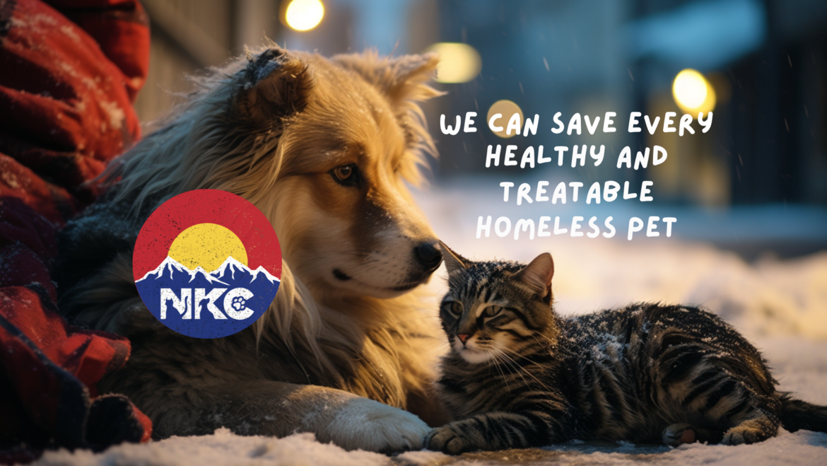 Homeless Cat and dog on a cold snowy street huddled together. Homeless Cat and dog on a cold snowy street huddled together.