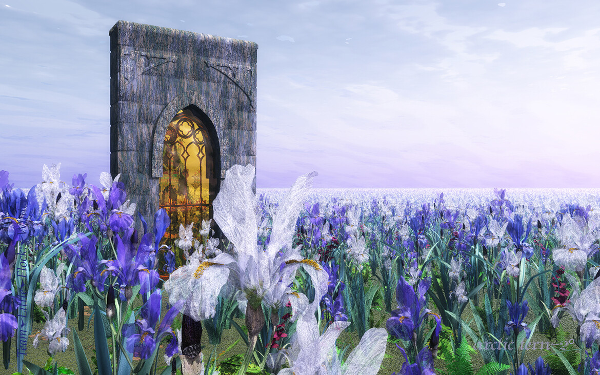 Cotton Tote Cotton Tote