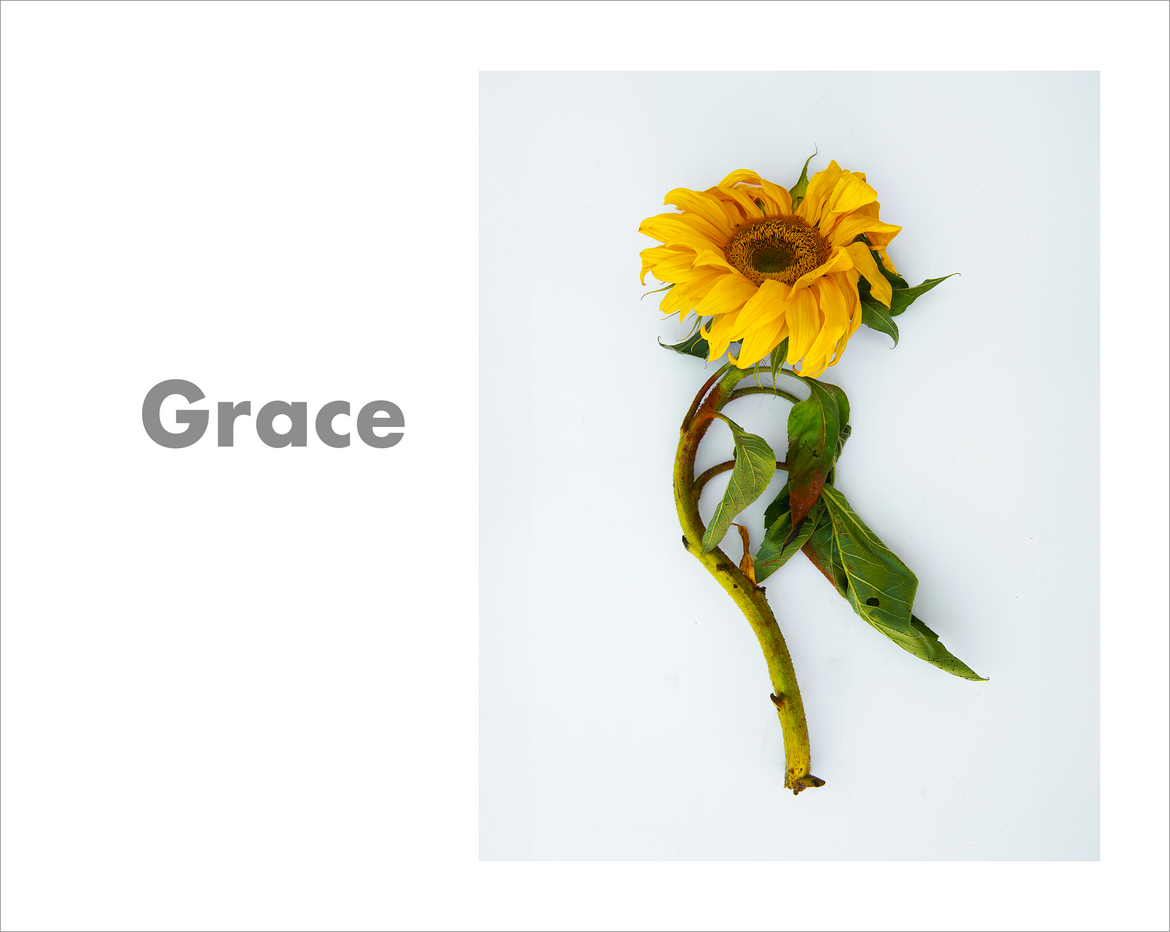 Grace Grace