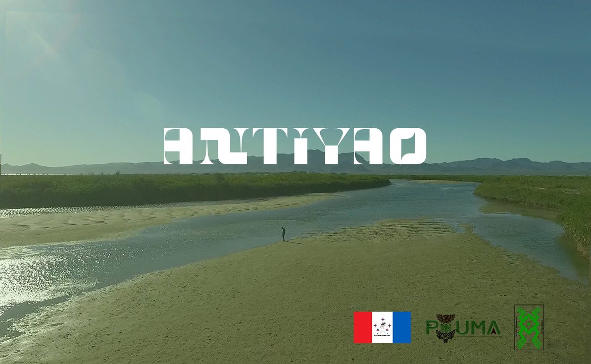 One frame of the video One frame of the video