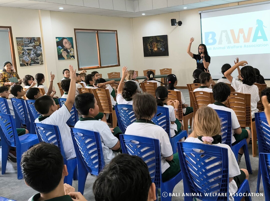 Schulbesuch von BAWA Schulbesuch von BAWA