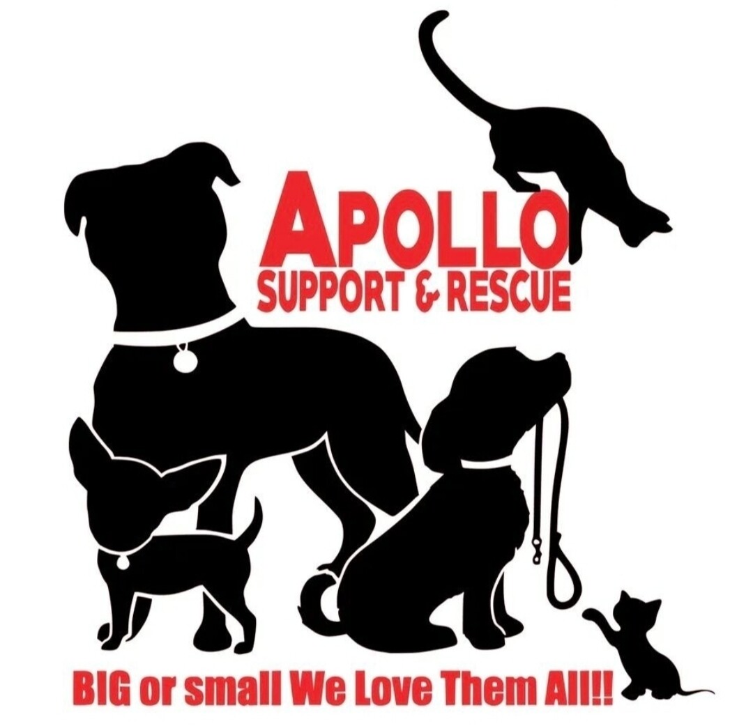 Logo Logo