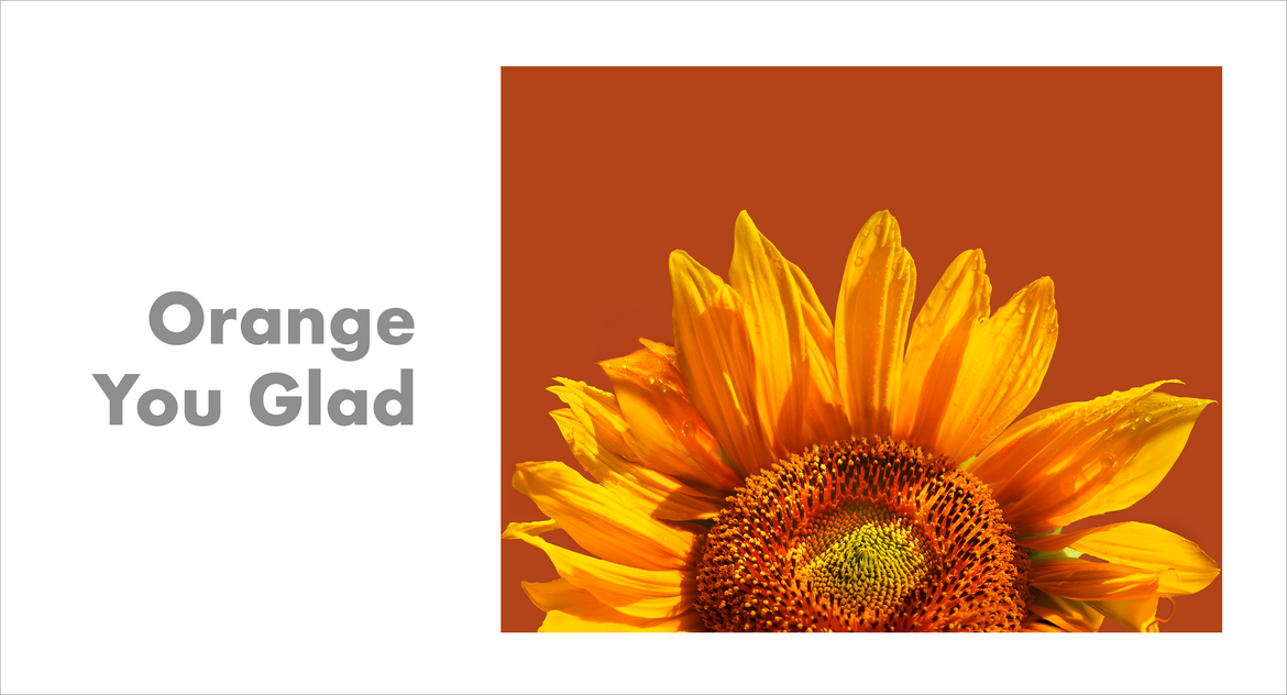 Orange You Glad Orange You Glad