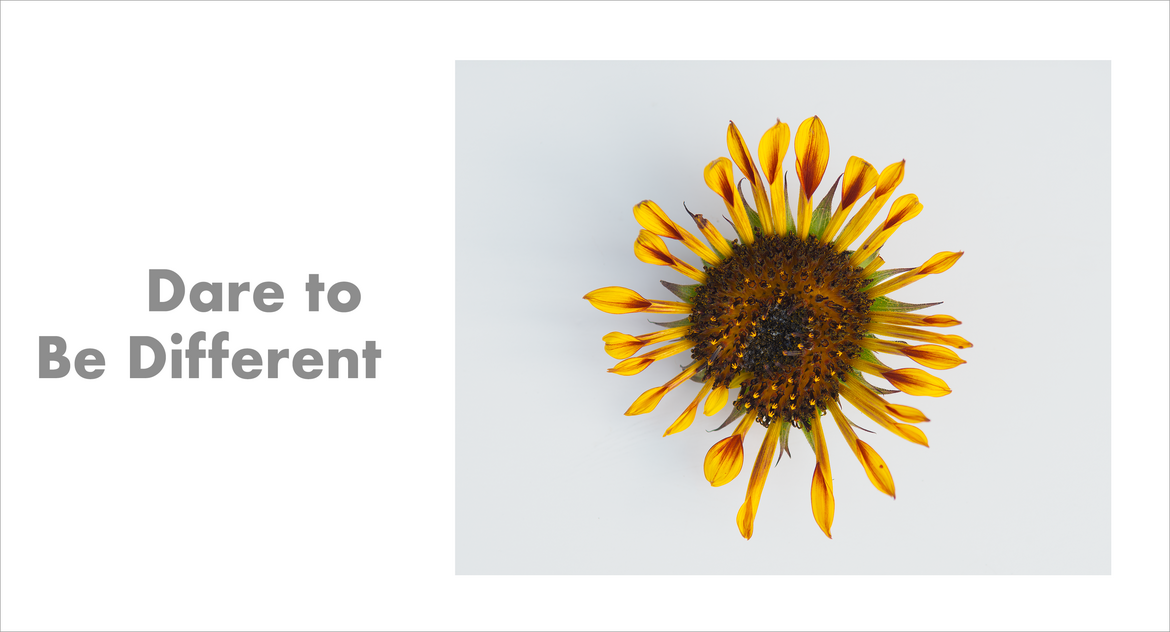 Dare to Be Different Dare to Be Different