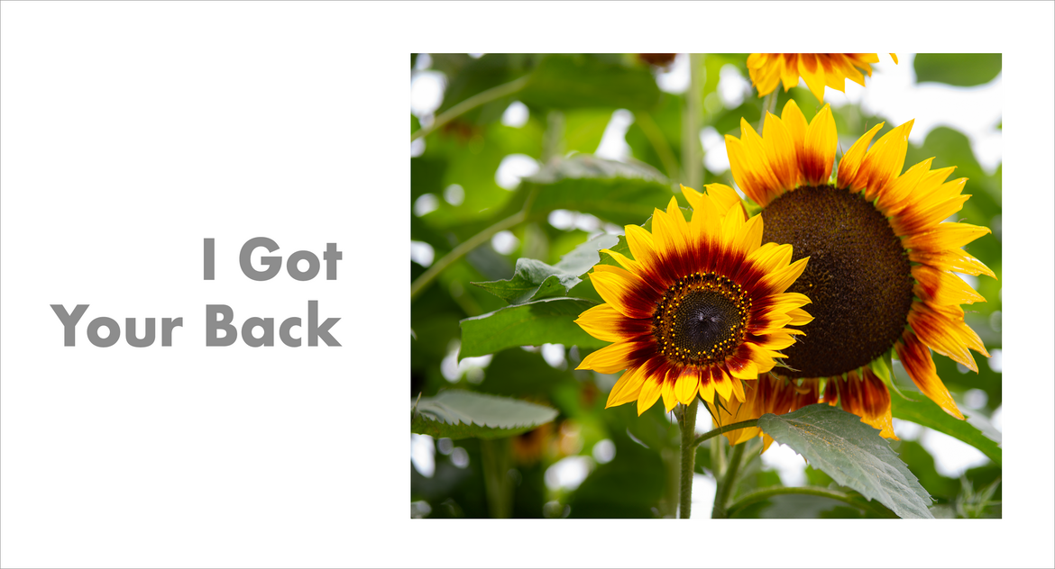 I Got Your Back I Got Your Back