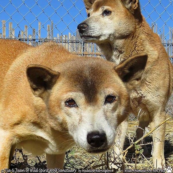 Tia & Juan Tia & Juan