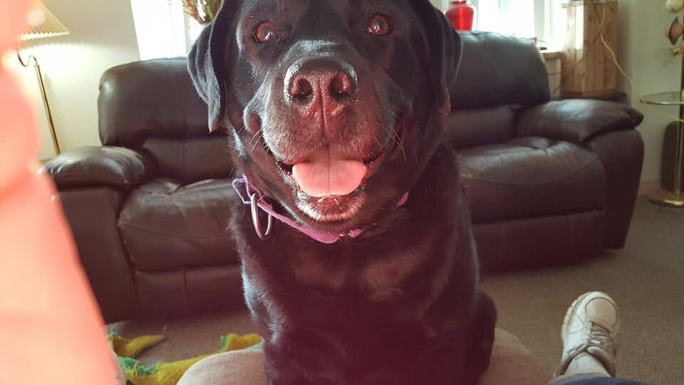 Sweet Mabel Sweet Mabel