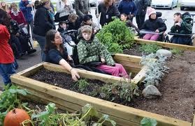 Raised beds for all abilities.