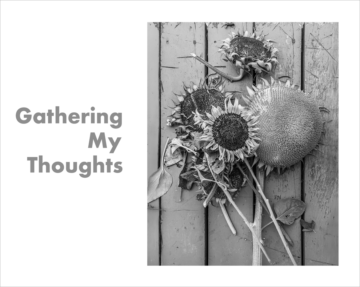 Gathering My Thoughts Gathering My Thoughts