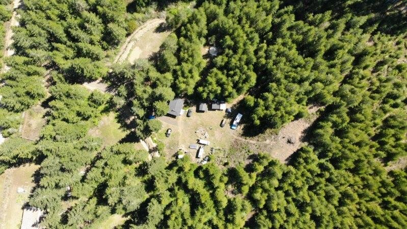 The Seed PNW The Seed PNW