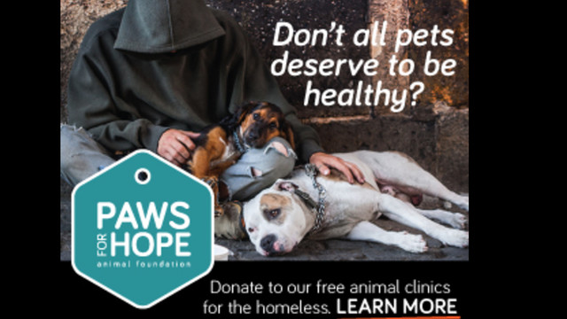 Helping the homeless care for their pets by Paws for Hope Animal Foundation