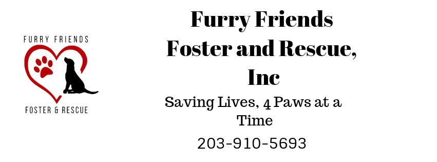 Furry friends foster store and rescue inc