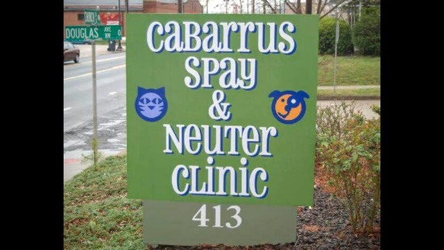 Donate To Cabarrus Spay & Neuter Clinic