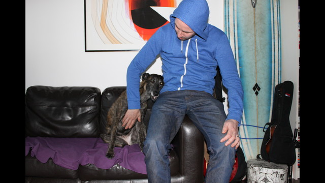 great hounds in need