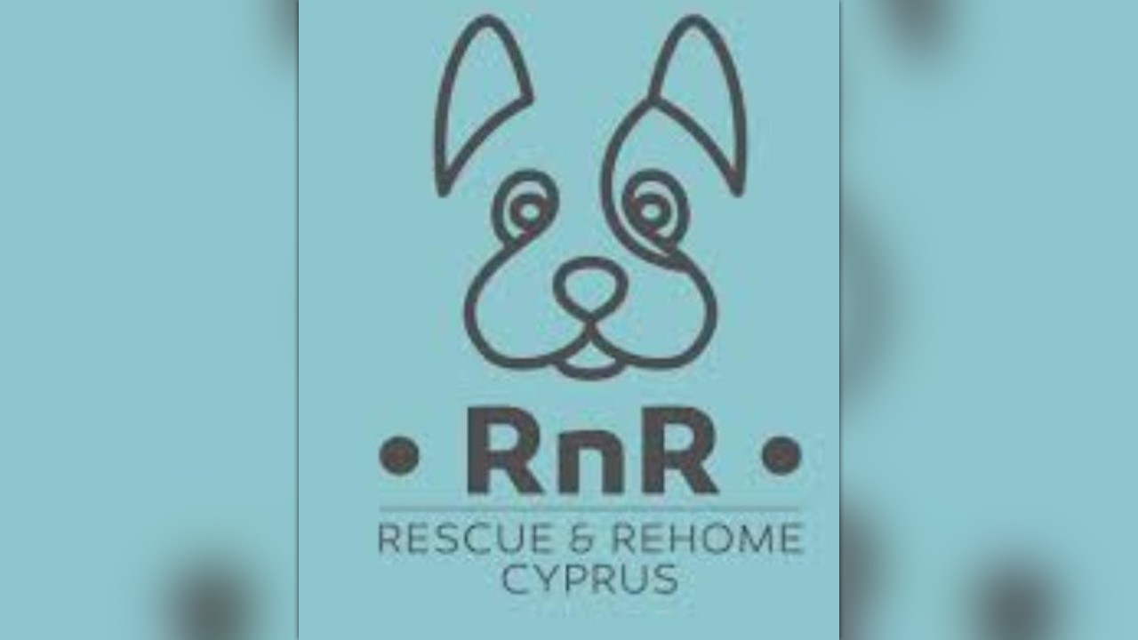 cyprus dog rescue and rehoming
