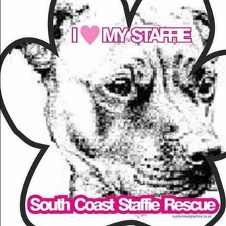 south coast staffie rescue