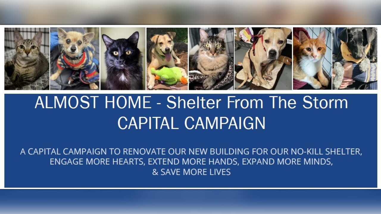 Animal Rescue New Orleans ALMOST HOME CAPITAL CAMPAIGN by Animal Rescue New  Orleans