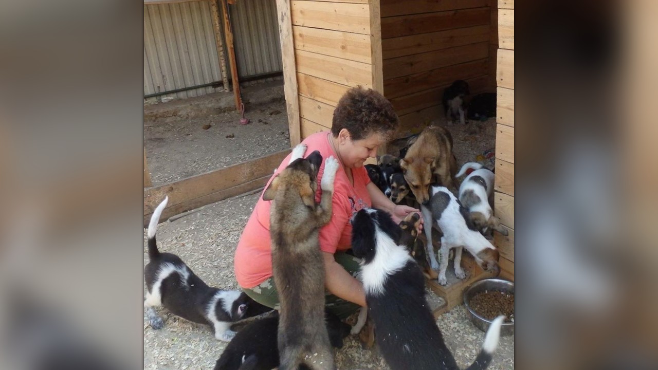 Shaggy Soul Animal Rescue & Rehabilitation by Irene Eff Shaggy Soul Animal Rescue & Rehabilitation by Irene Eff