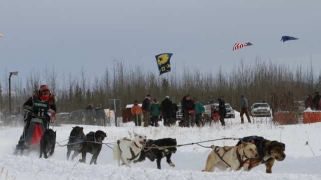 Tok Race Of Champions - Dog Sled Race By Tok Dog Mushers' Association