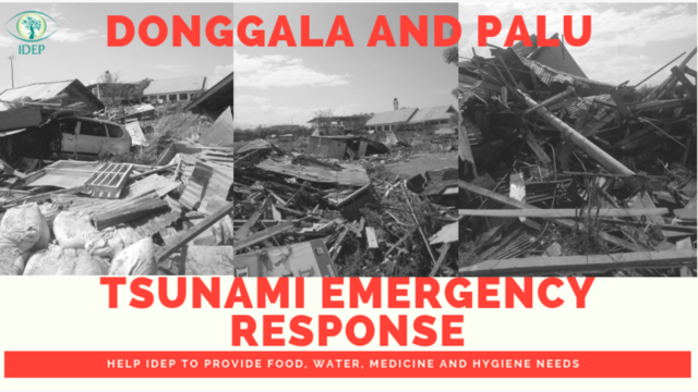 Palu And Donggala Tsunami Emergency Response By Yayasan Idep