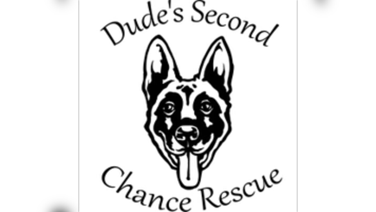 Help prepare a new location for a brand new rescue dudes second chance