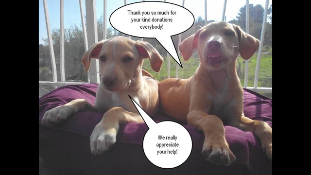 help us care for