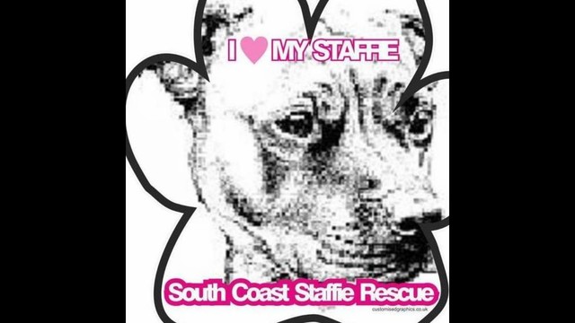 Staffie sales rescue sussex