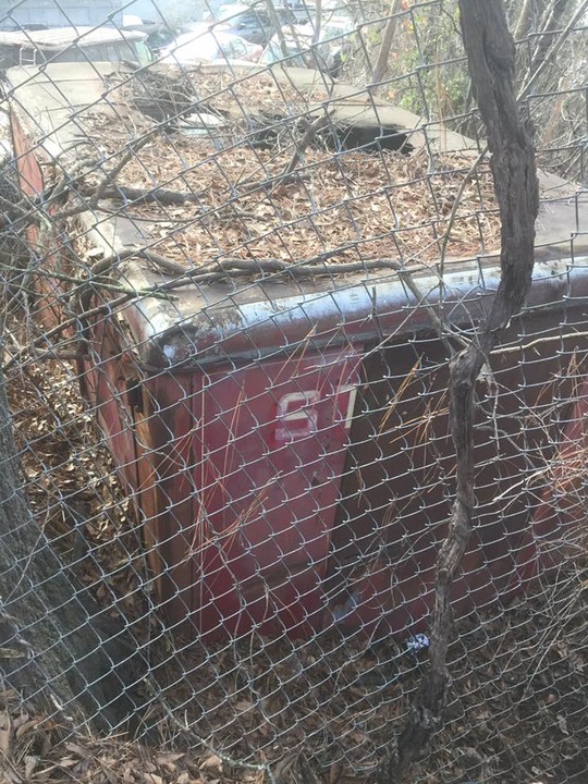 Husky Pack Rescue posted a story update on Help Husky Pack Rescue!