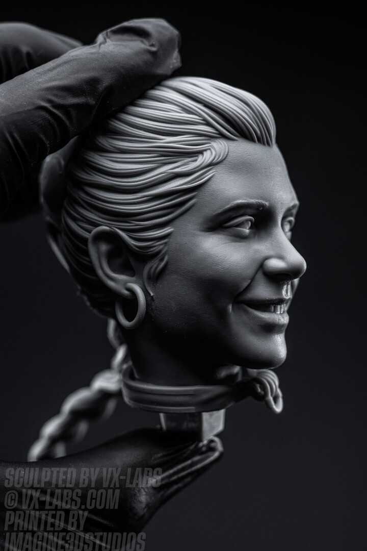 VX Labs Art posted a story update on Rebel Throne : Princess Leia