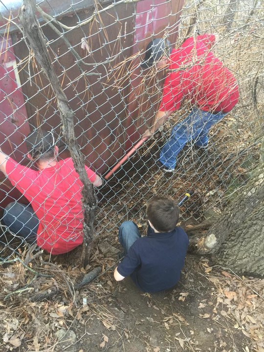 Husky Pack Rescue posted a story update on Help Husky Pack Rescue!