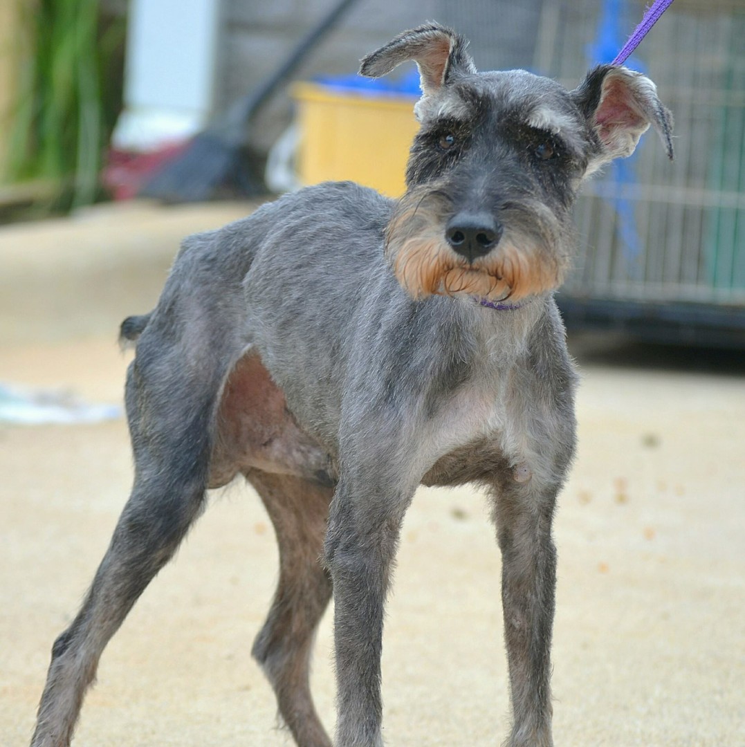 Colbert County Animal Control Association posted a story update on